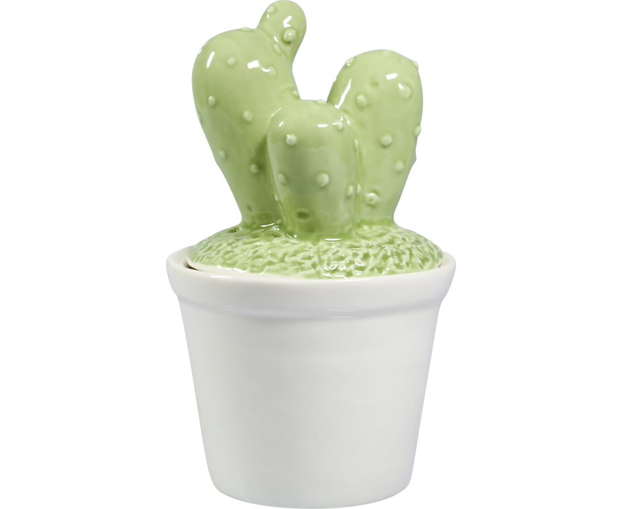 CACTUS pot  