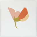 Bright bloom box 10