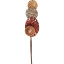 MON CARAMEL Pick 2