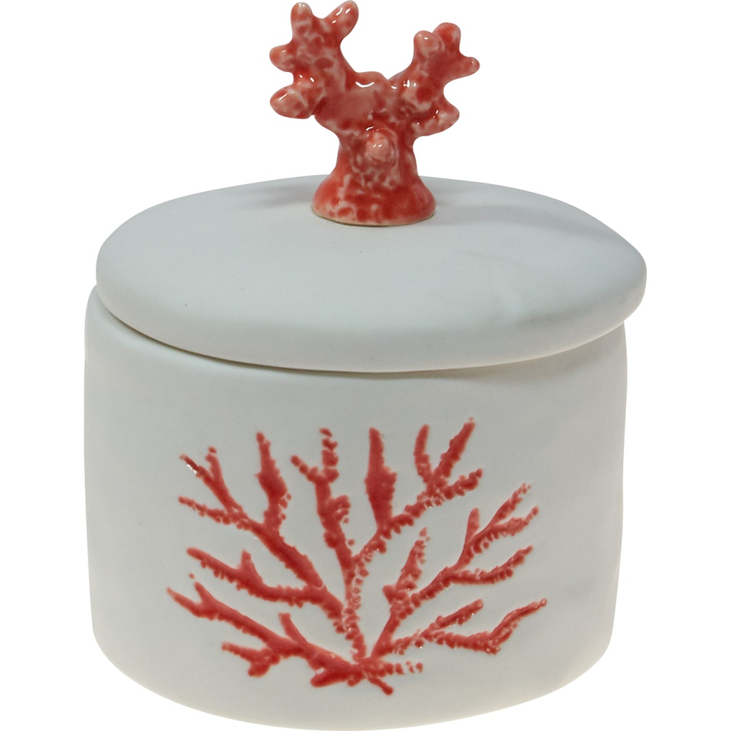 QUEENSLAND Coral box 