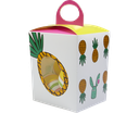 CACTUS eggbox 11