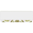 SECRET GARDEN basic 10 assortment of 2