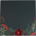 Where winter blooms prestige advent