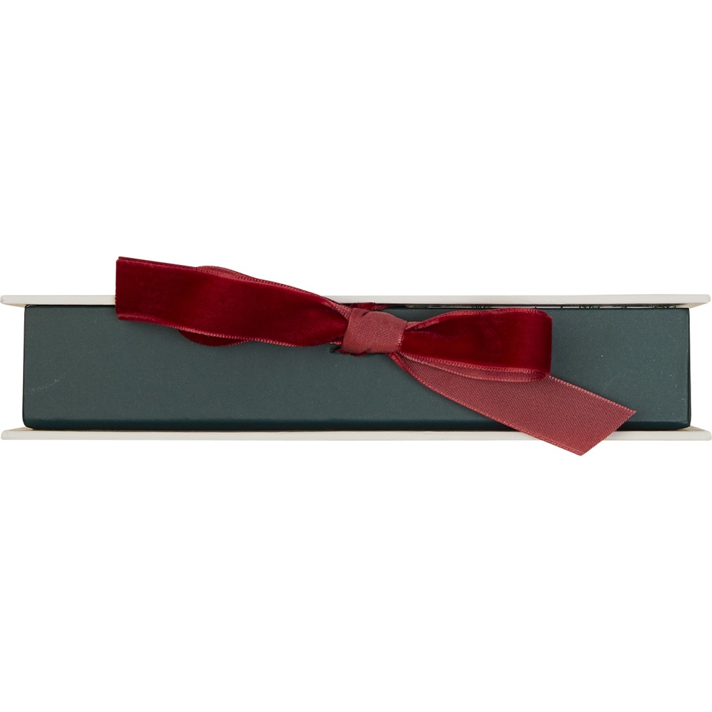 Winter wind rectangular plug box for 12 chocolates