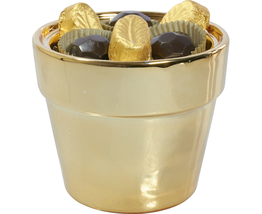 PARTY Star Canister