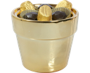 PARTY Star Canister