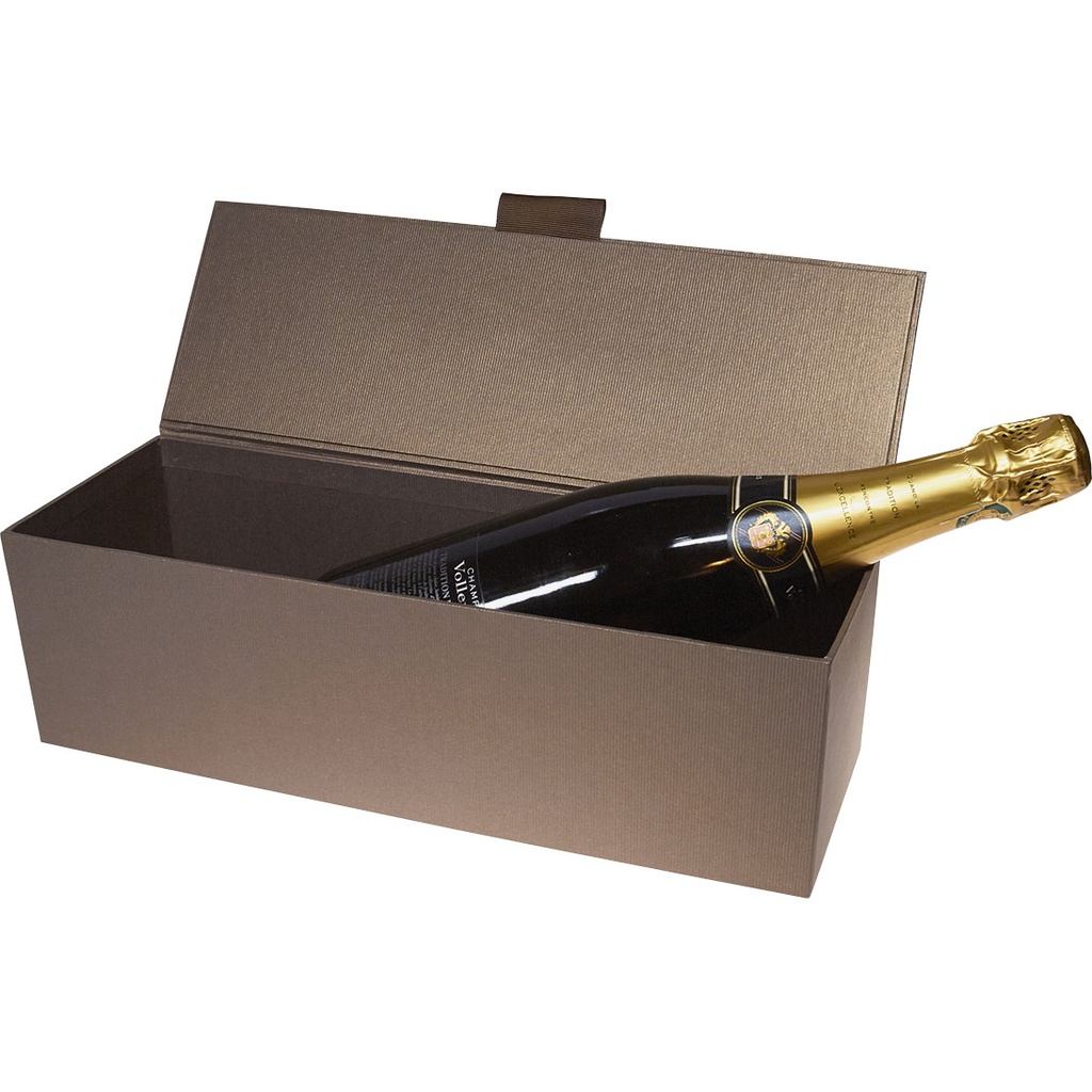 TERRA champagne***