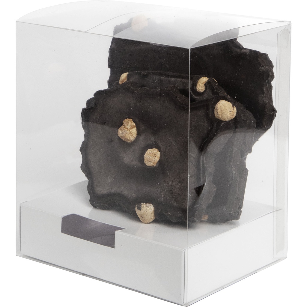 BOITE horizontale pour creux 13