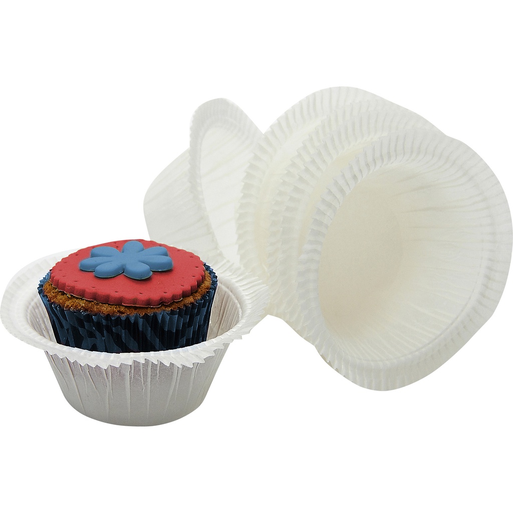MOLD muffin