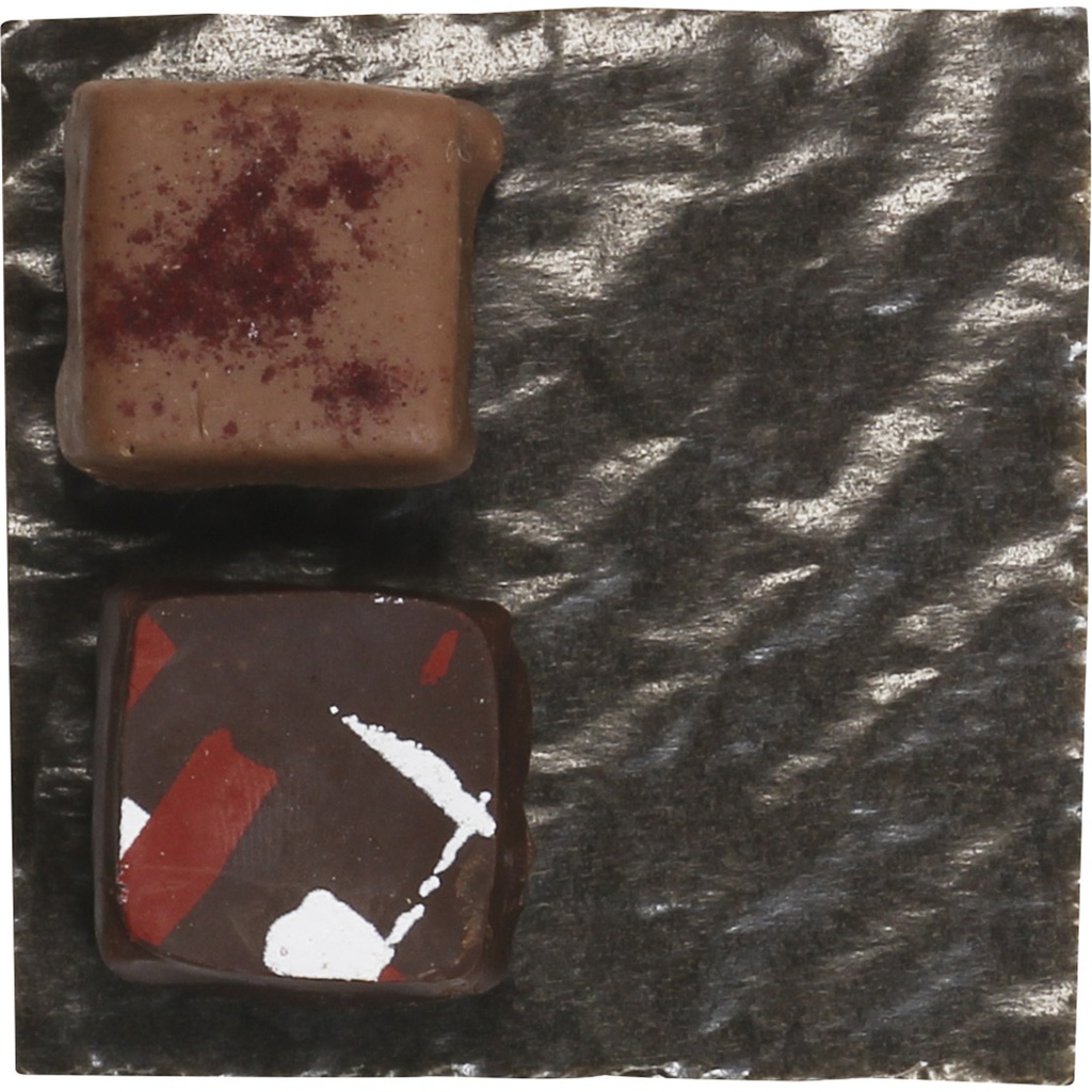 CUSHION brown 08