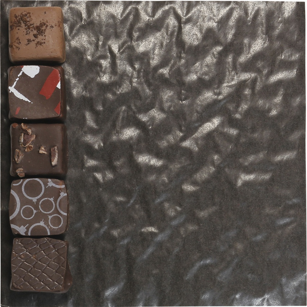 CUSHION brown 17