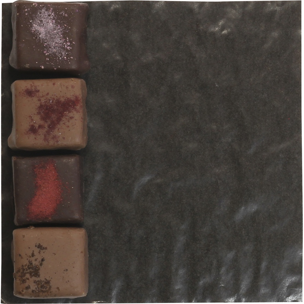 COUSSINET noir 14 -CUS011690