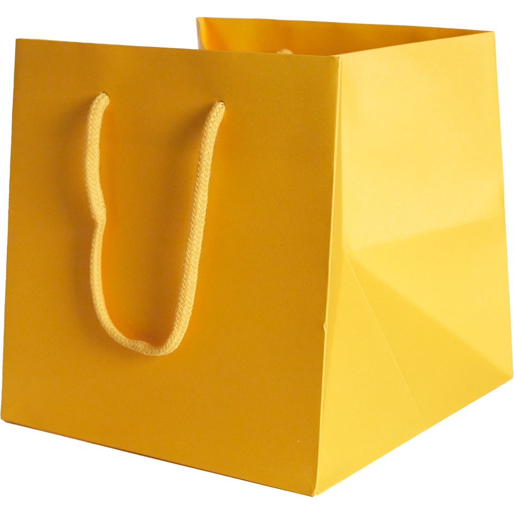 BAG 20 COLOR 10***