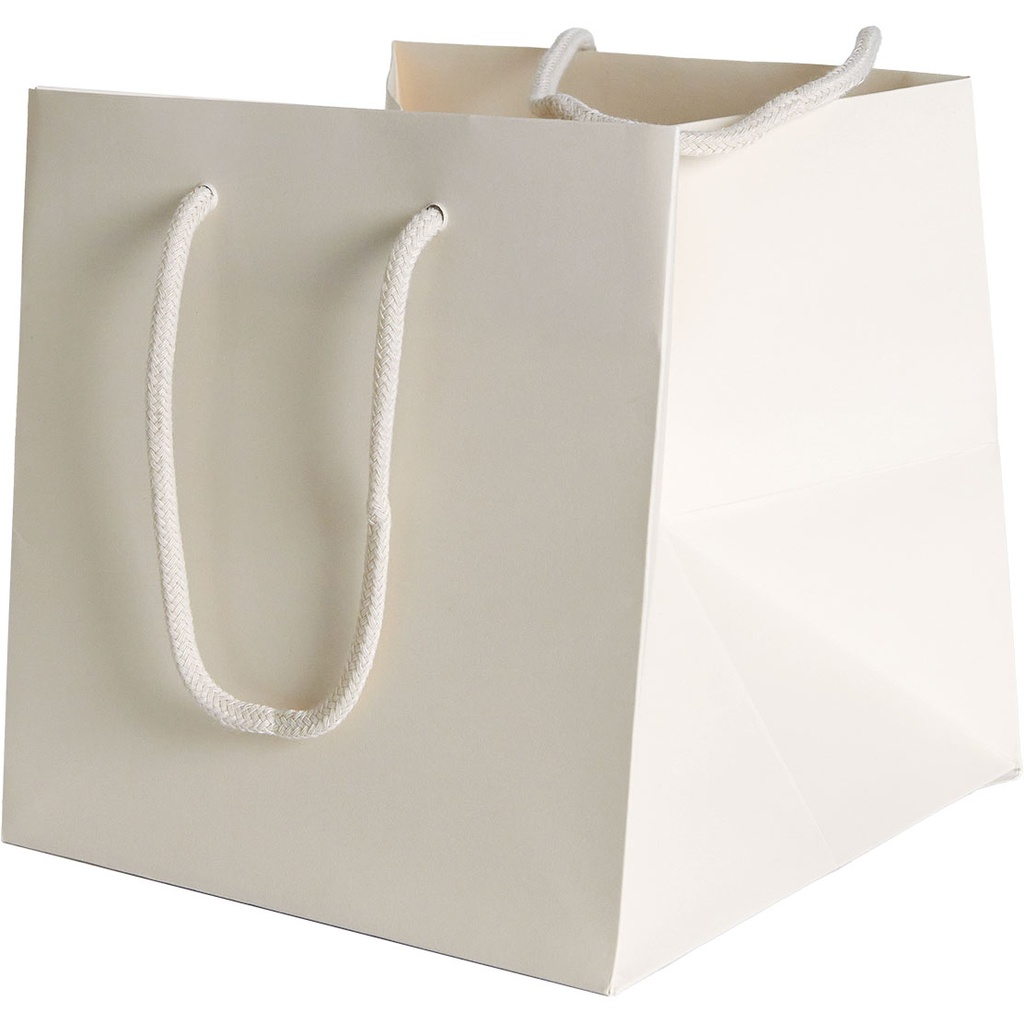 BAG 20 COLOR 02