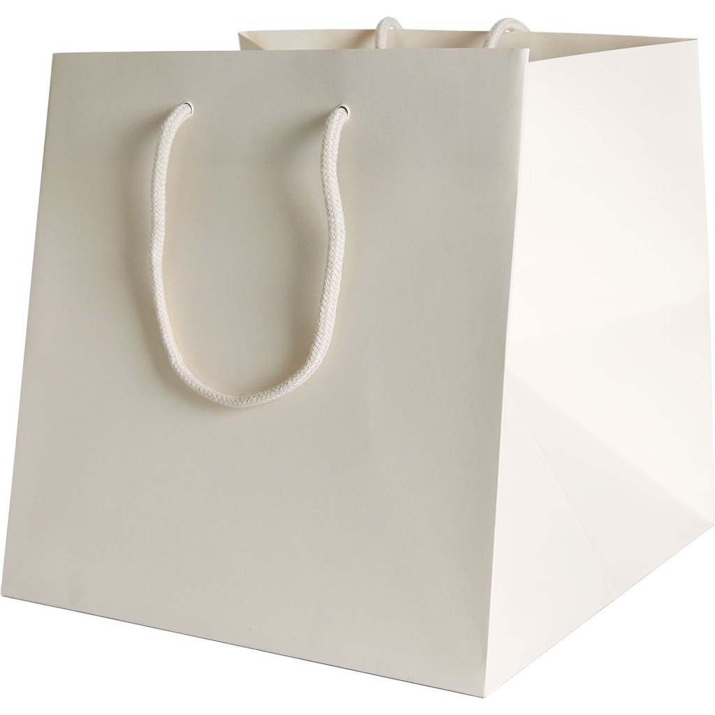 BAG 25 COLOR 02