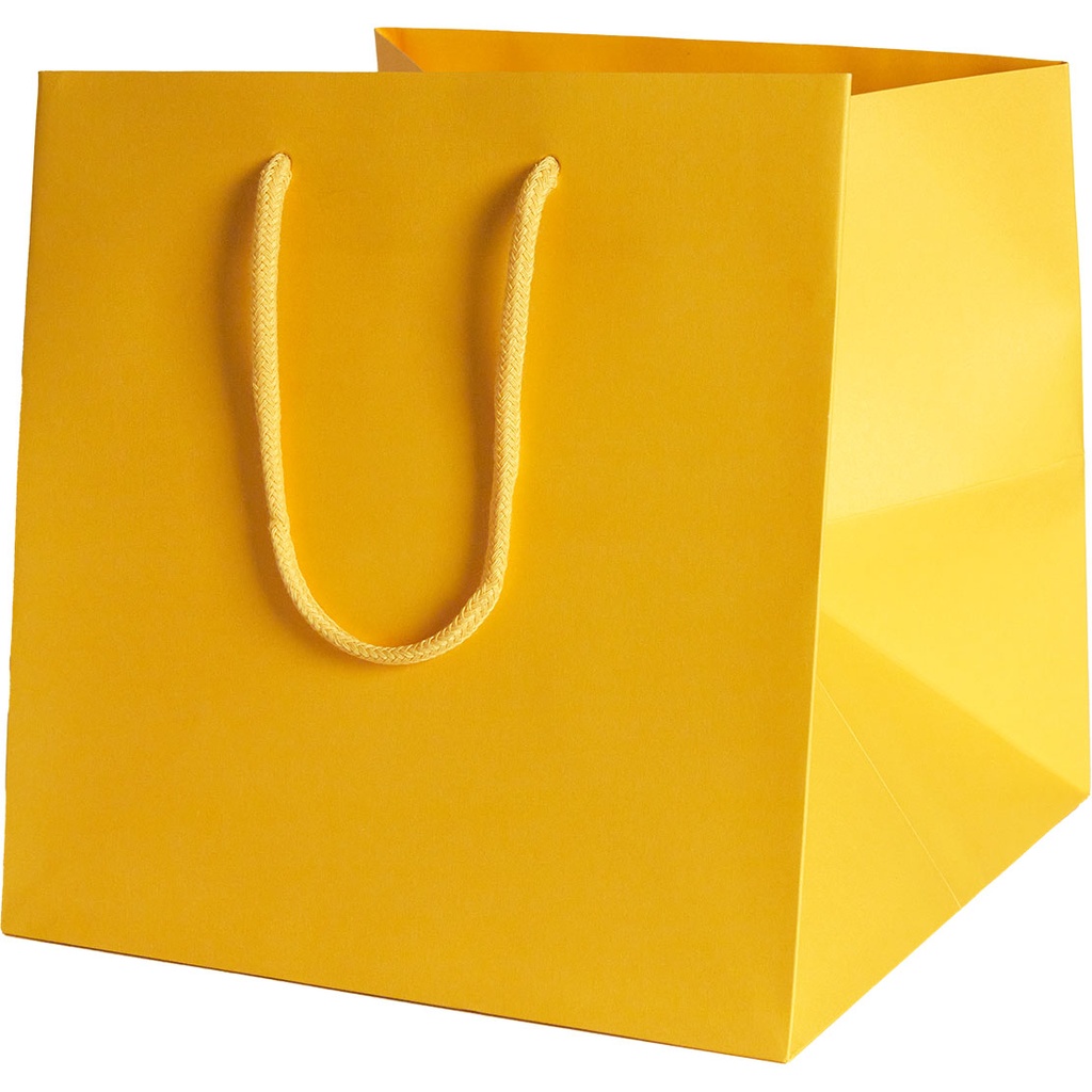 BAG 25 COLOR 10***