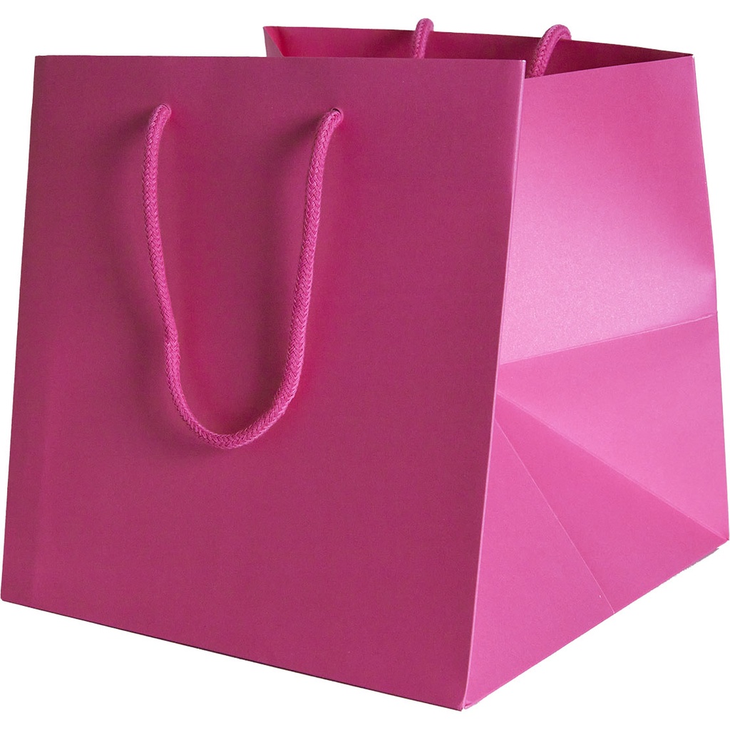 BAG 25 COLOR 25***