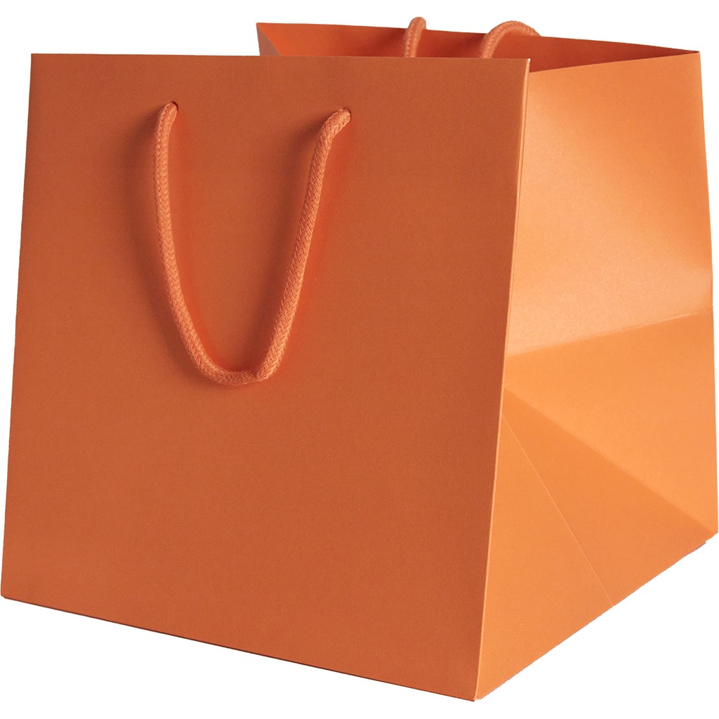 BAG 25 COLOR 40***