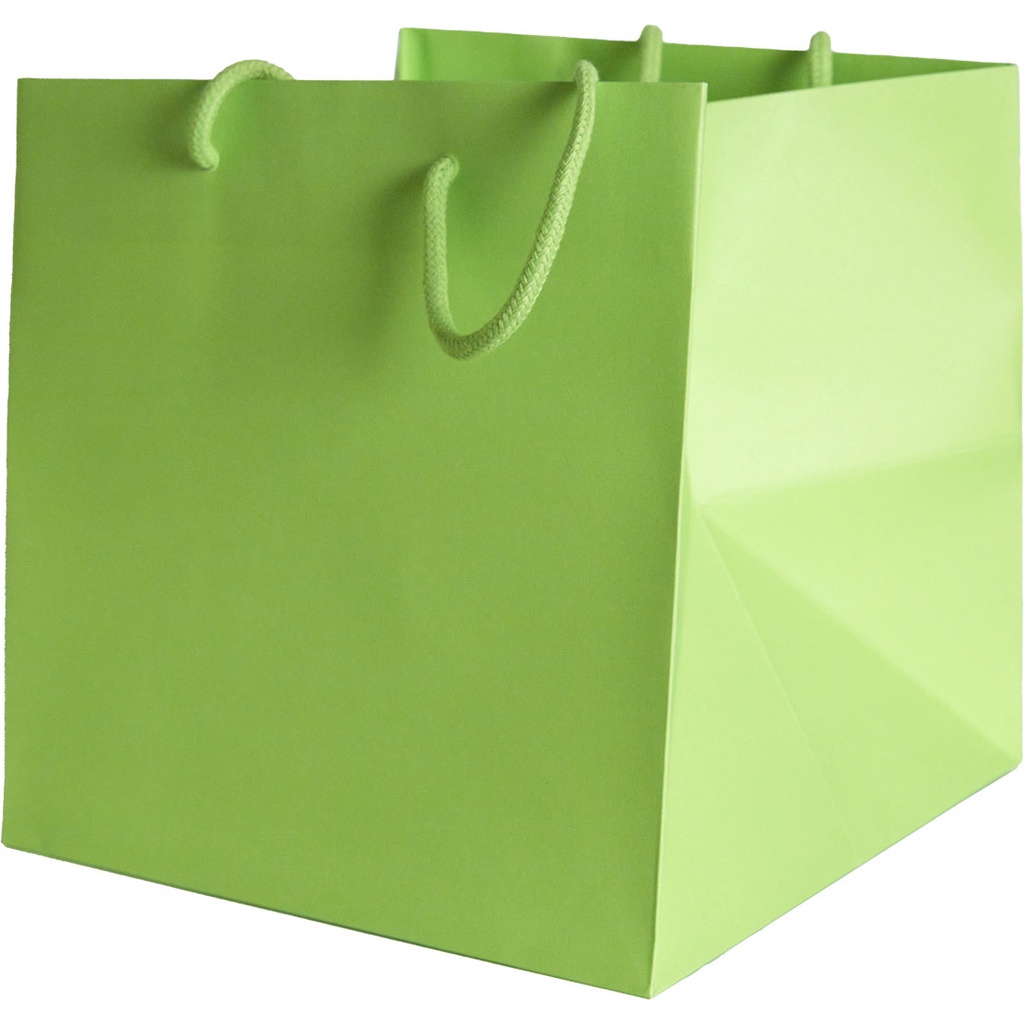BAG 25 COLOR 51***