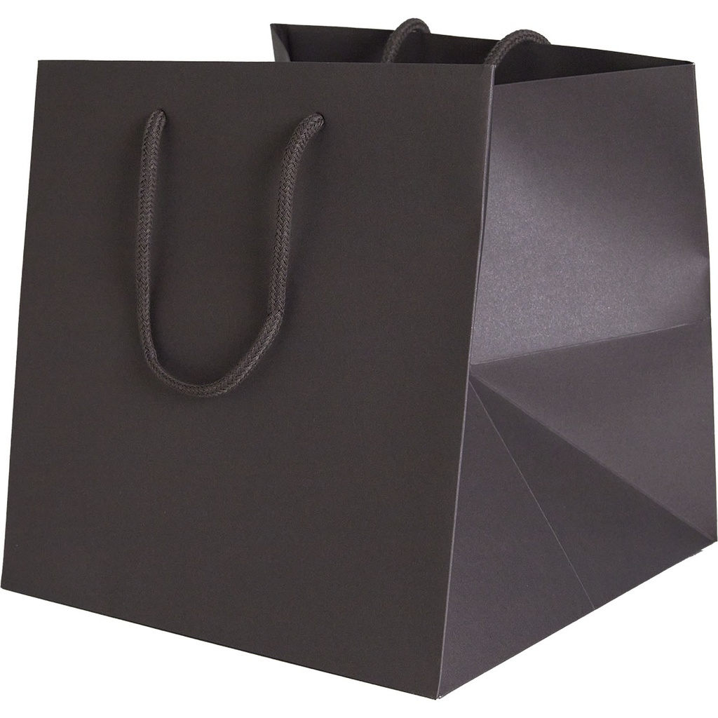 BAG 25 COLOR 79