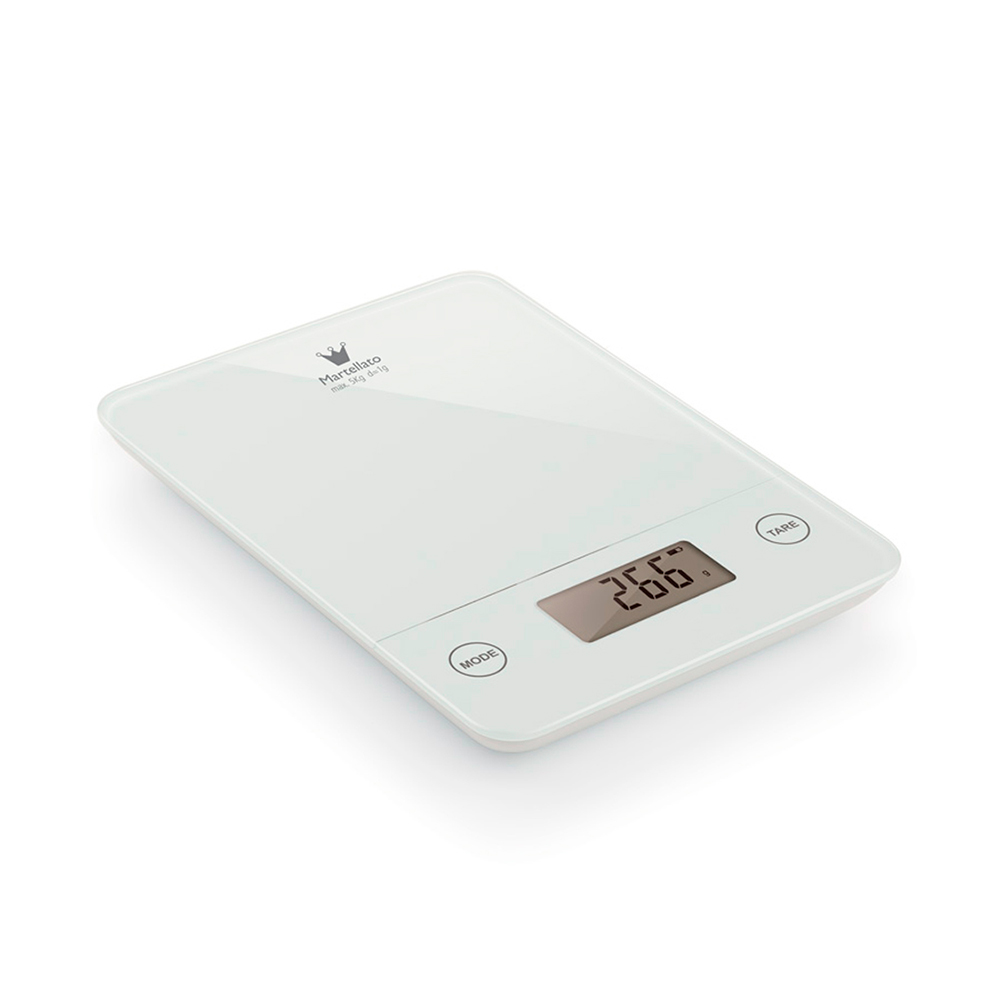 BALANCE PROFESSIONNELLE EN ACIER 5KG 