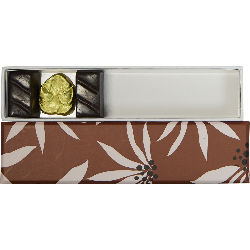 TERRE DU SUD reglet 05