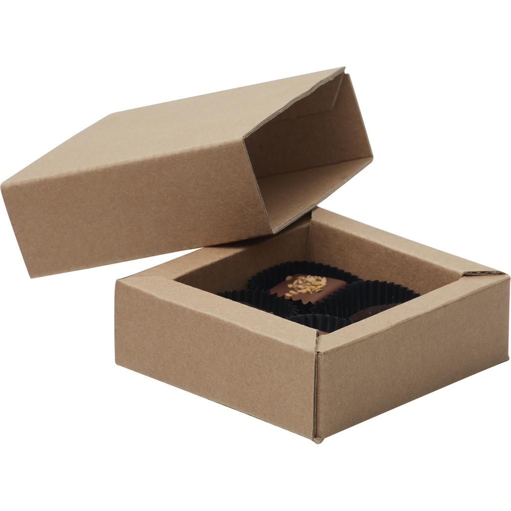 CARBOARD BOX with sleeve assembled 08