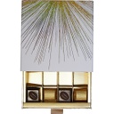 FIREWORKS sleeve box 16 chocolates