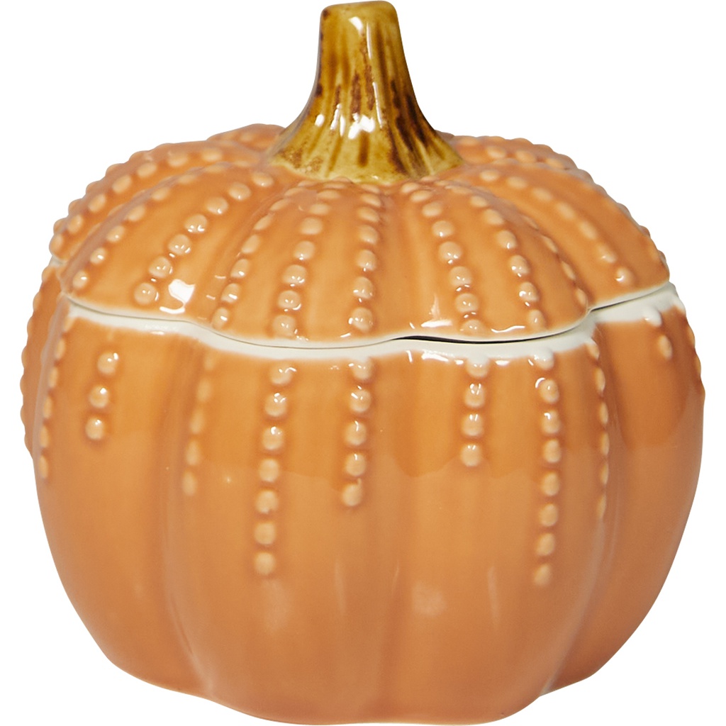 DUSKY BERRY yellow pumpkin pot
