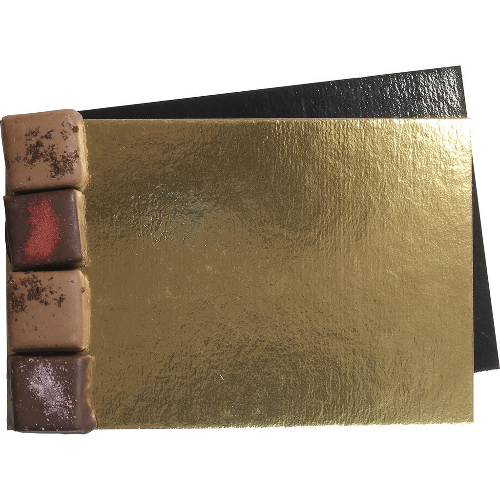 CARTONE ORO/NERO per borsa 10