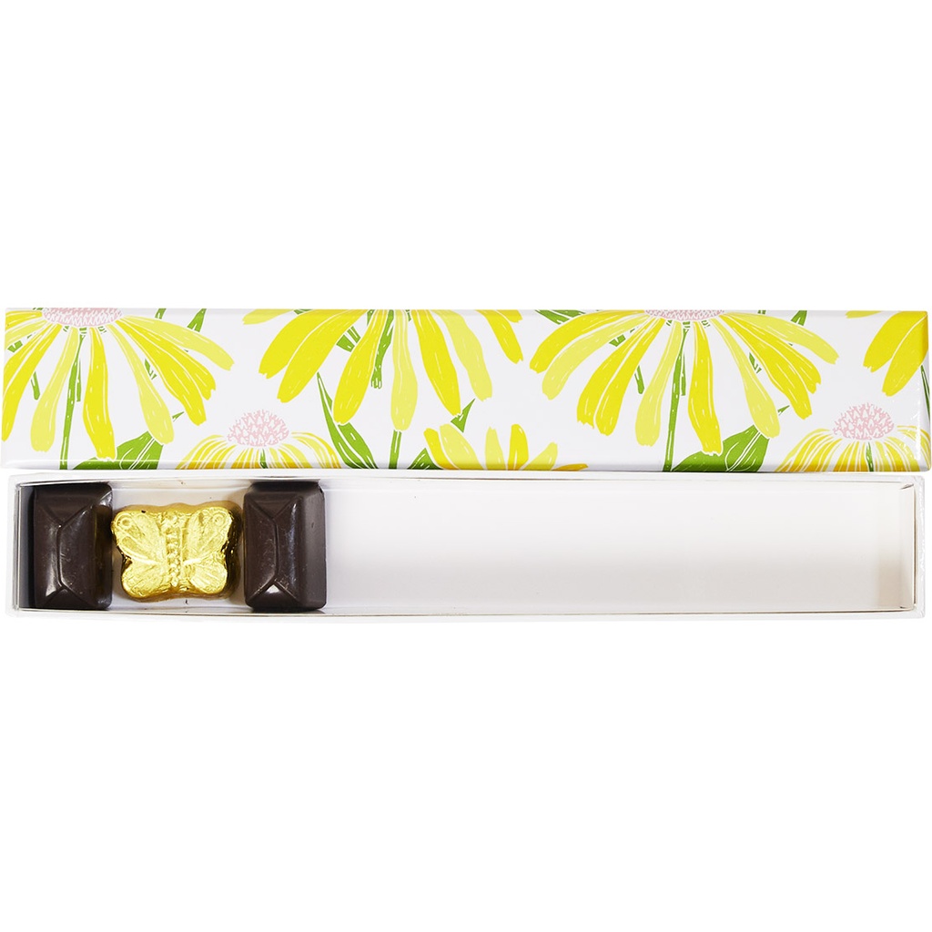 SUNNY DAISY basic reglet 06