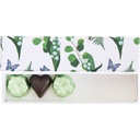 PRETTY BELLS basic reglet 05