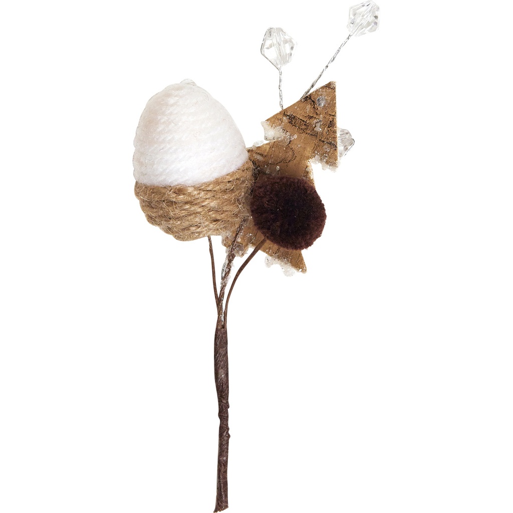 BRUME D'HIVER pick 5