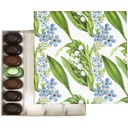 FRESH HARMONY basic 14