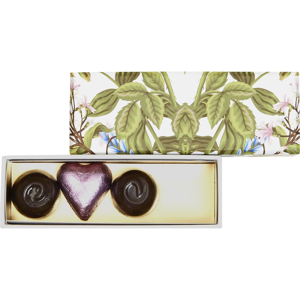 SECRET GARDEN basic reglet 04