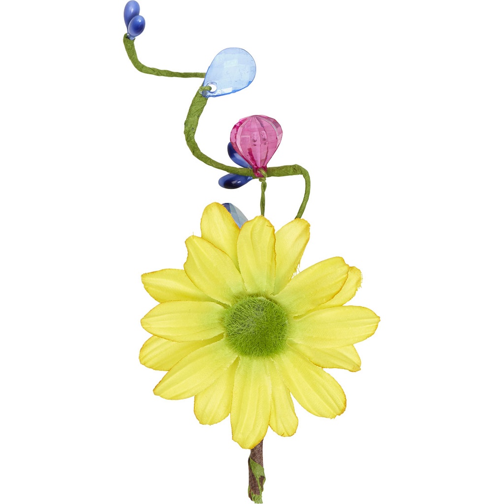 WILD SPRING Pick 2