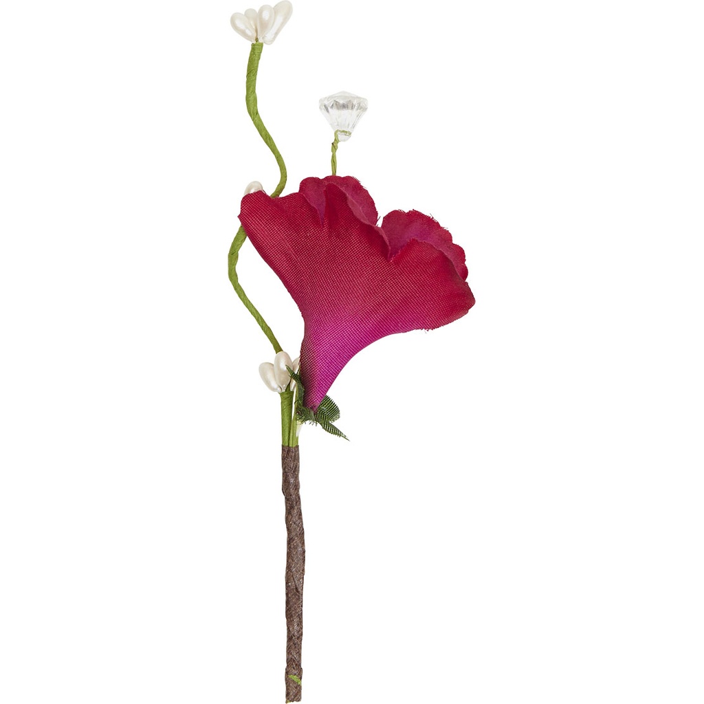 BIRD OF PARADISE Pick 2