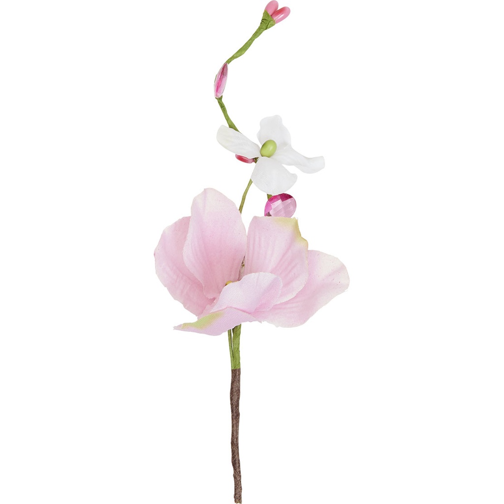 BIRD OF PARADISE Pick 3