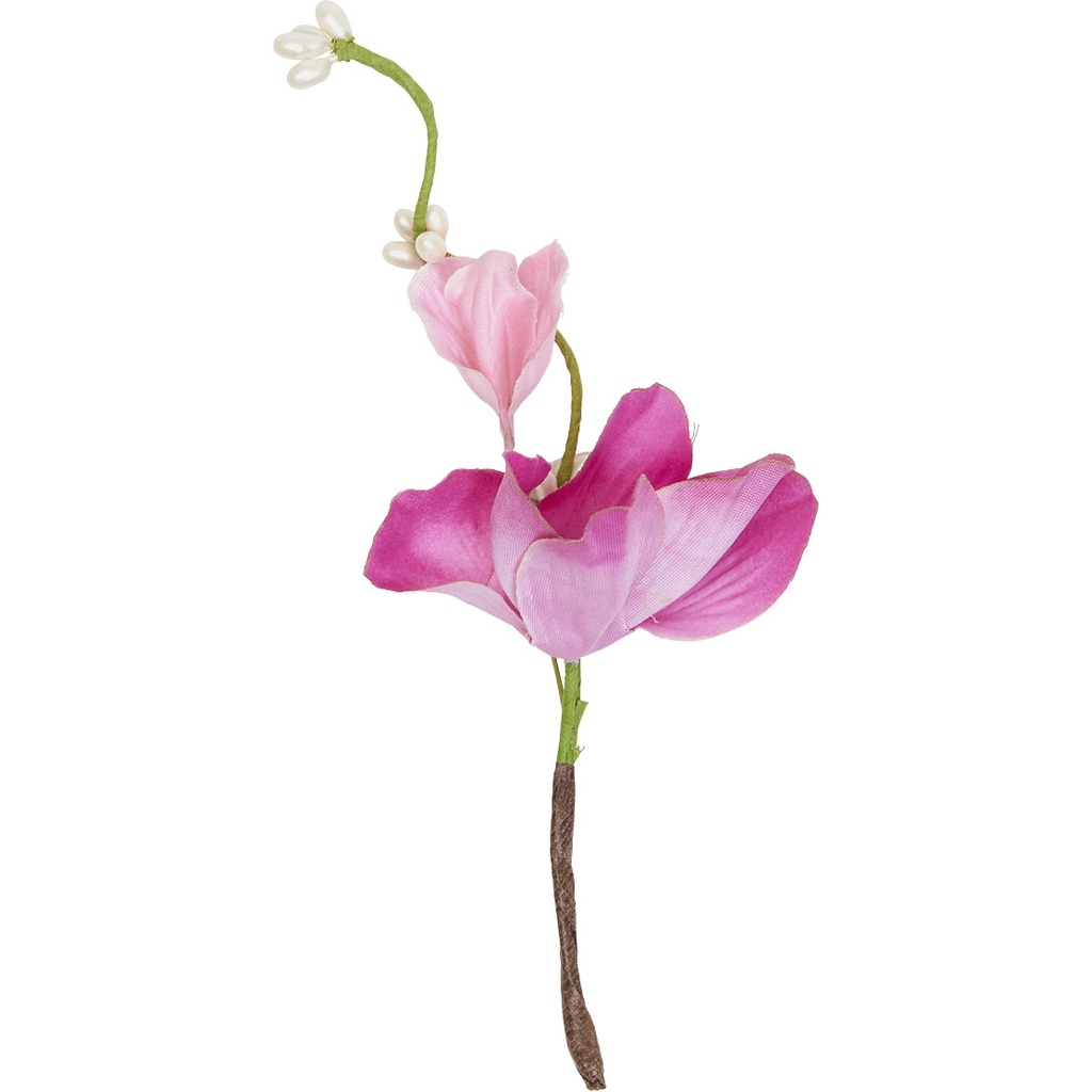 BIRD OF PARADISE Pick 4