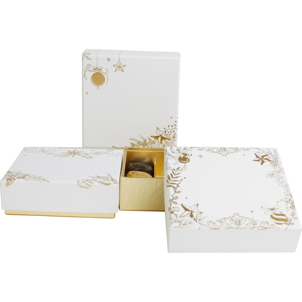 Snowgold basic 10 assortment of 3