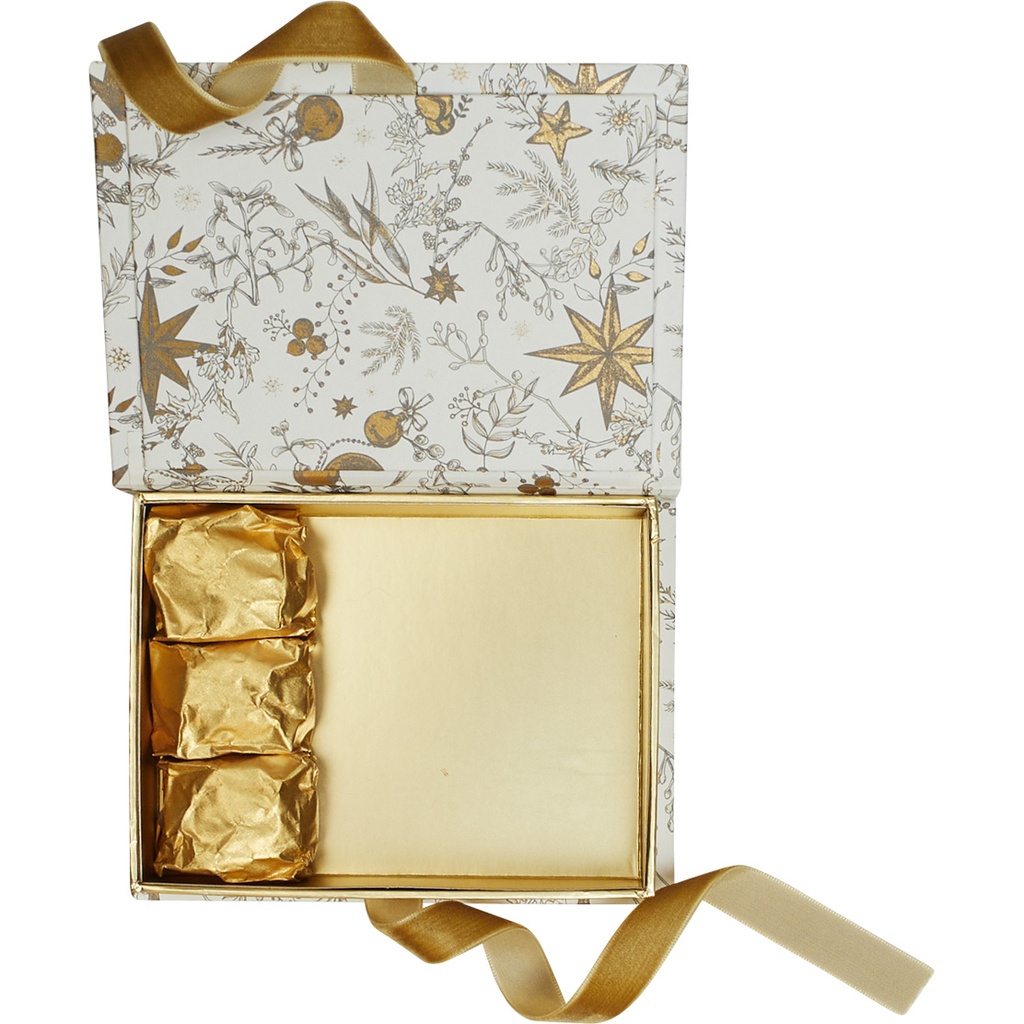 Snowgold plug rectangular box 