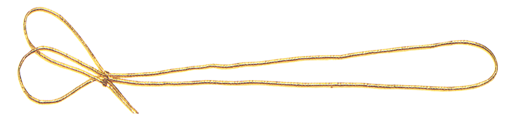 ELASTIQUE or 2 coques 20