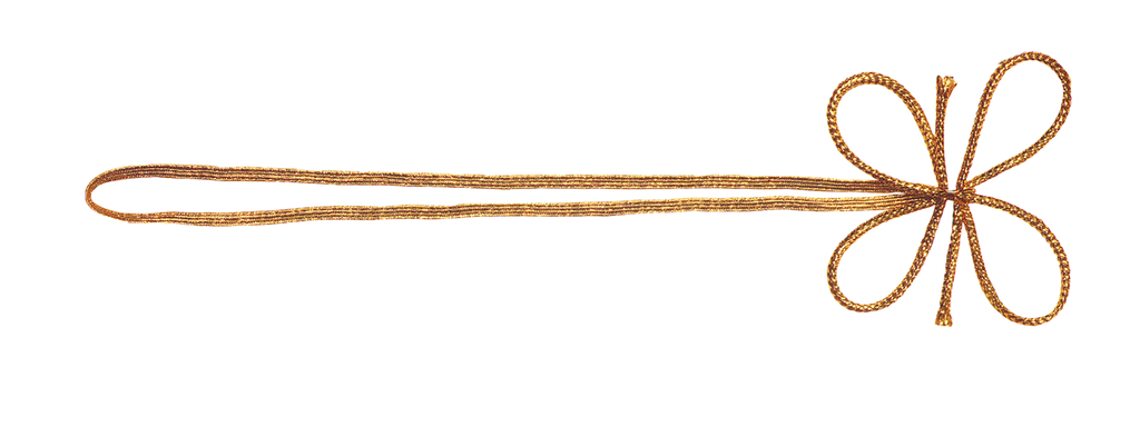 ELASTICI 4 anelli 40