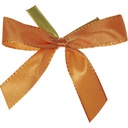 [2378*2/4063/41] CLIP noeud orange