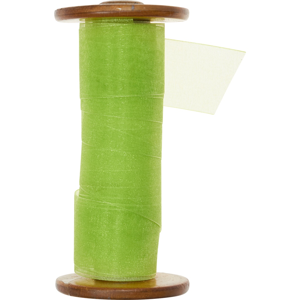 ORGANZA 25mm green 53