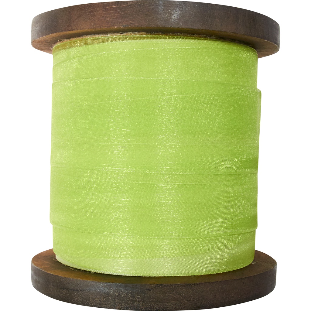 ORGANZA 40mm green 53