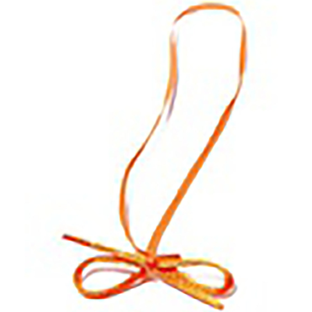 ELASTIC 4 orange