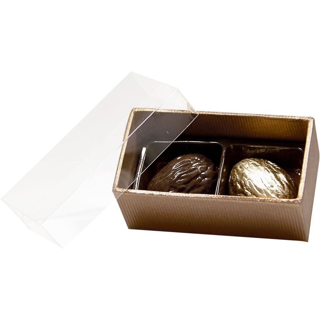 TERRA transparent 02