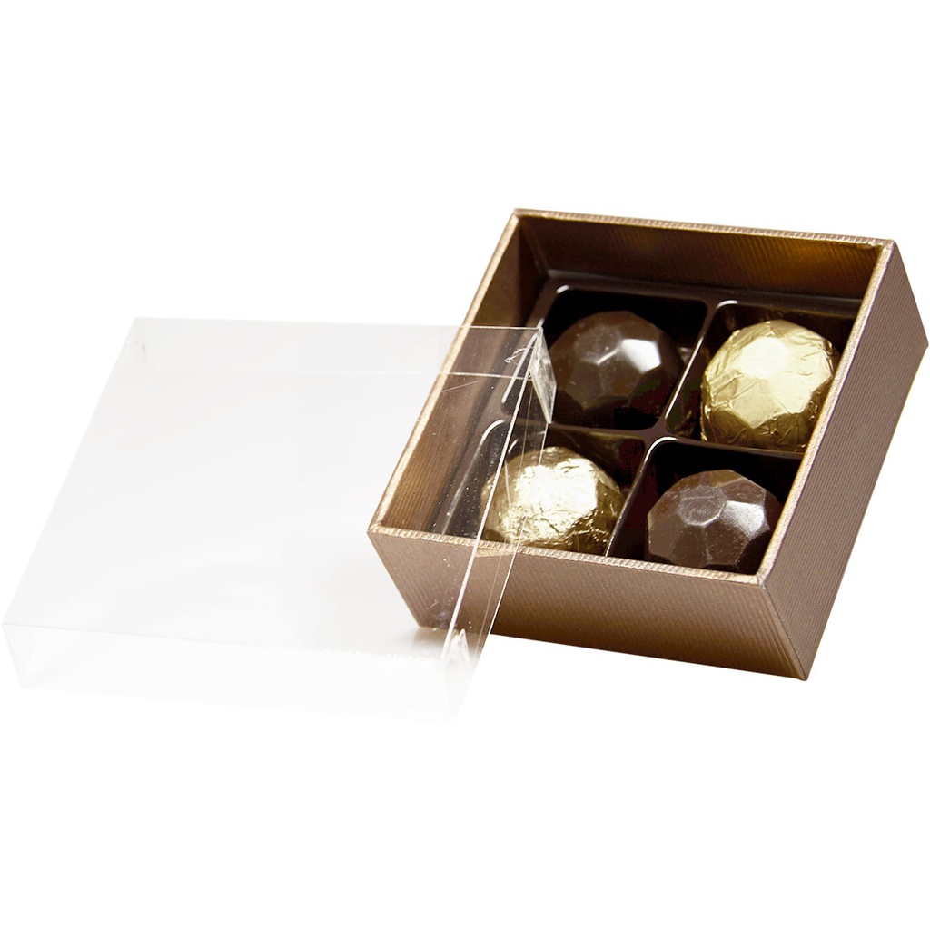 TERRA transparant 04