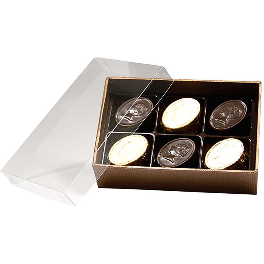 TERRA transparente 06